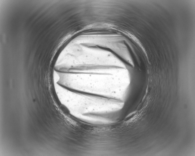 X0000051860997200507221852