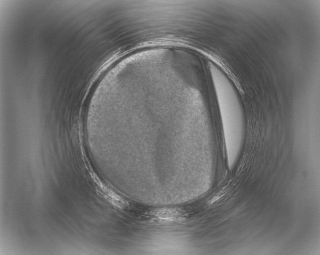 X0000051860998200507221852