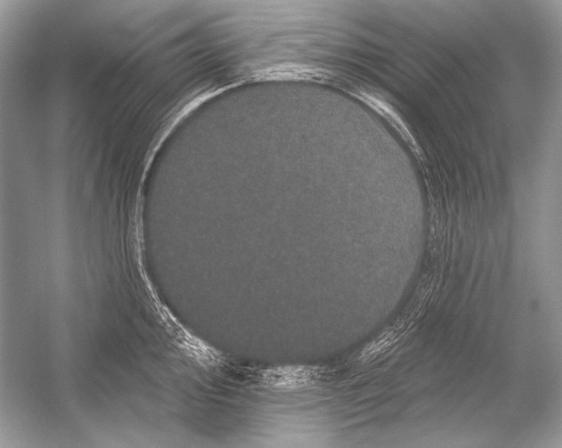 X0000051861000200507221852