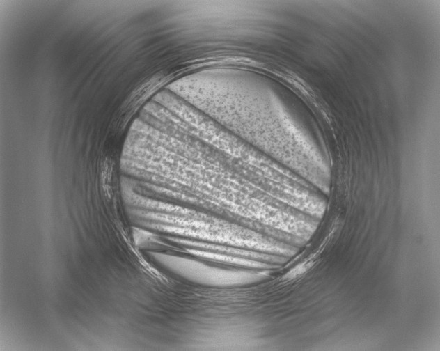 X0000051861001200507221852