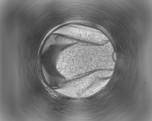 X0000051861004200507221852