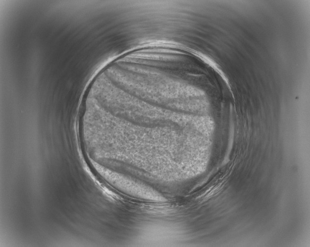 X0000051861007200507221852