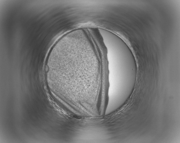 X0000051861008200507221852