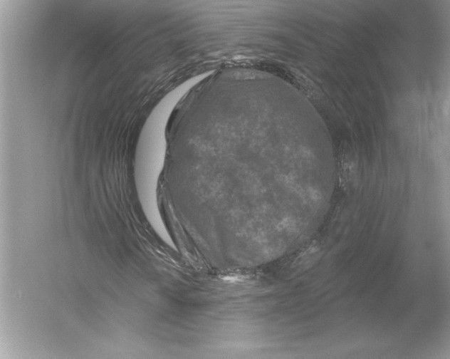 X0000051861010200507221851