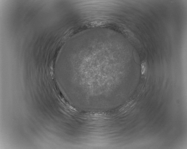 X0000051861011200507221851