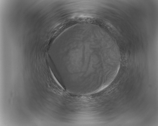 X0000051861013200507221851