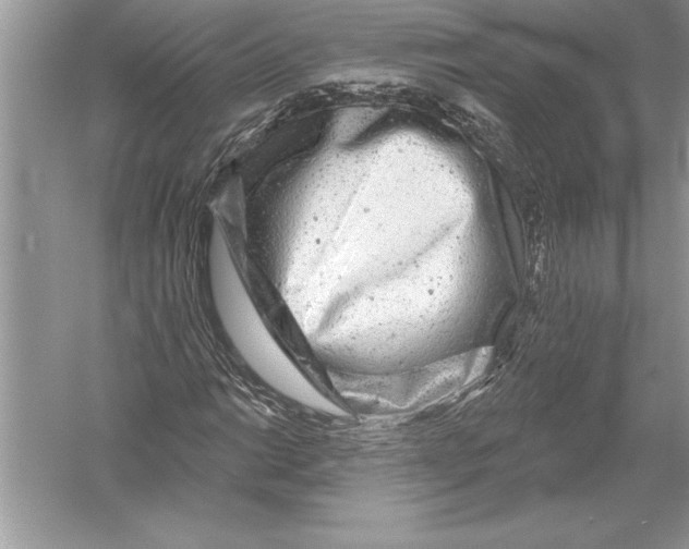 X0000051861014200507221851