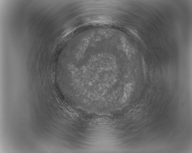 X0000051861015200507221851