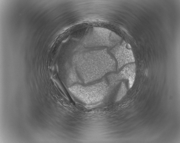 X0000051861016200507221851