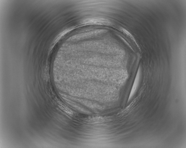 X0000051861019200507221851