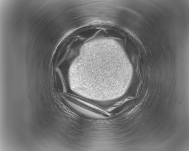 X0000051861021200507221851