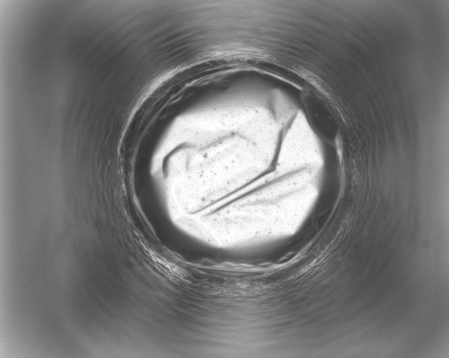 X0000051861022200507221851