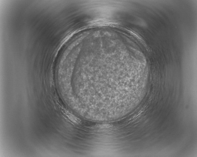 X0000051861023200507221851