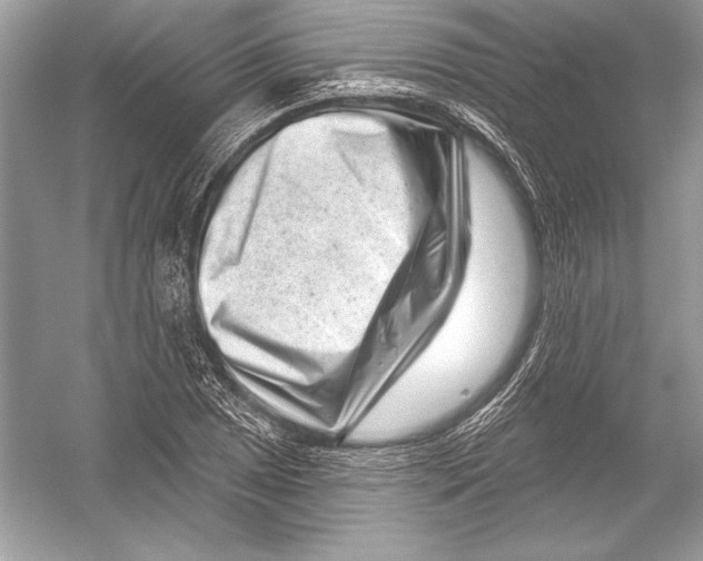 X0000051861025200507221851