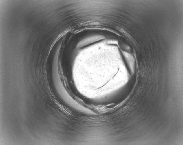 X0000051861026200507221851