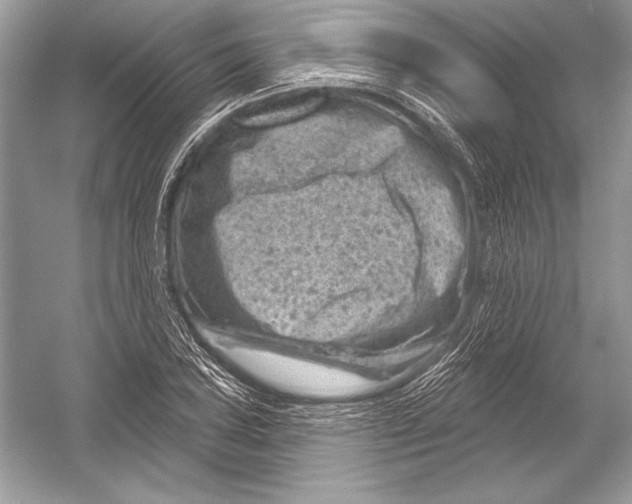 X0000051861027200507221851