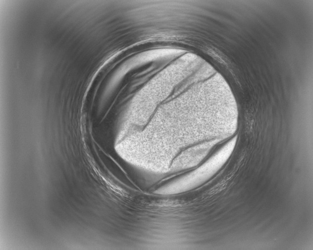 X0000051861029200507221851