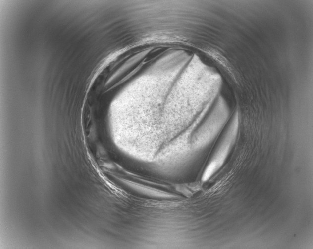 X0000051861030200507221851