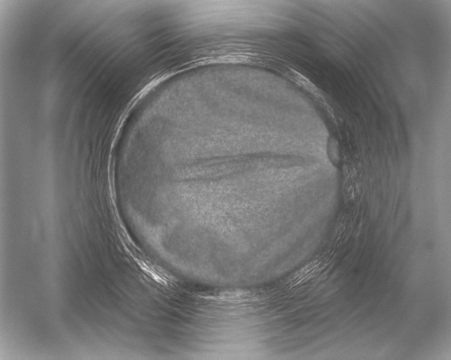 X0000051861035200507221851