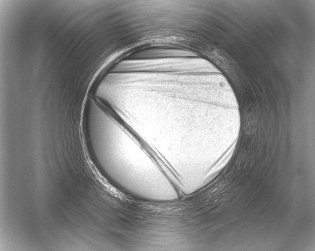 X0000051861036200507221851