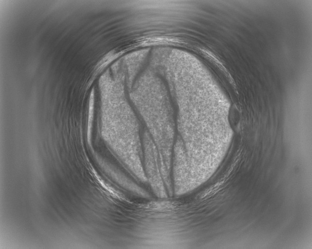 X0000051861041200507221852