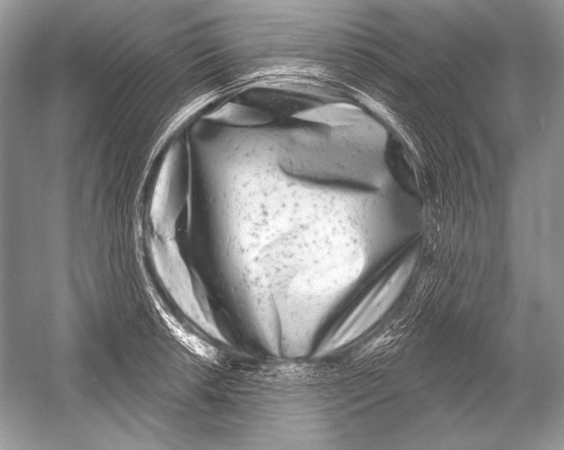 X0000051861042200507221852