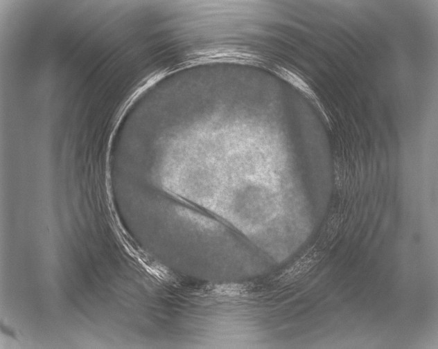 X0000051861043200507221852