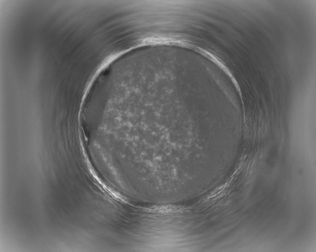 X0000051861045200507221852