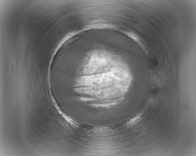 X0000051861046200507221852