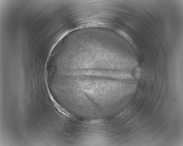 X0000051861047200507221852