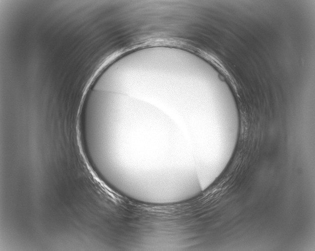 X0000051861048200507221852