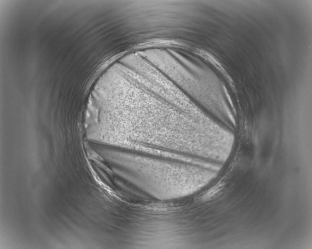 X0000051861049200507221852