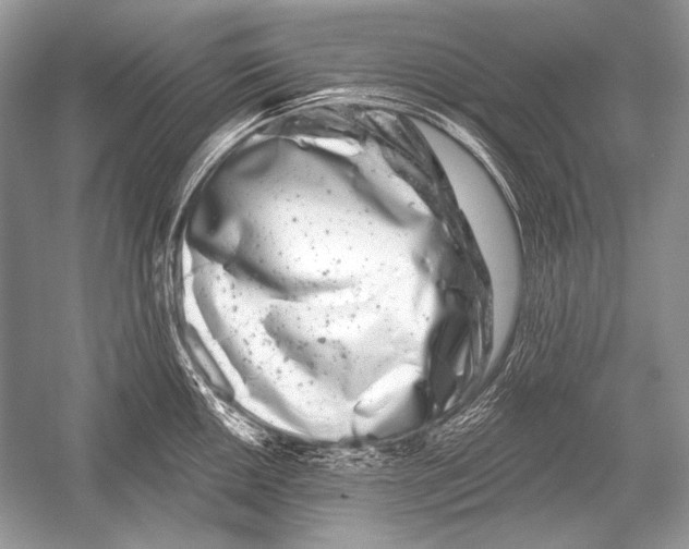 X0000051861050200507221852