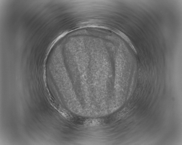 X0000051861051200507221852