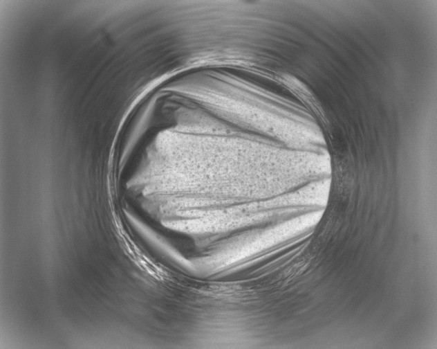 X0000051861052200507221852