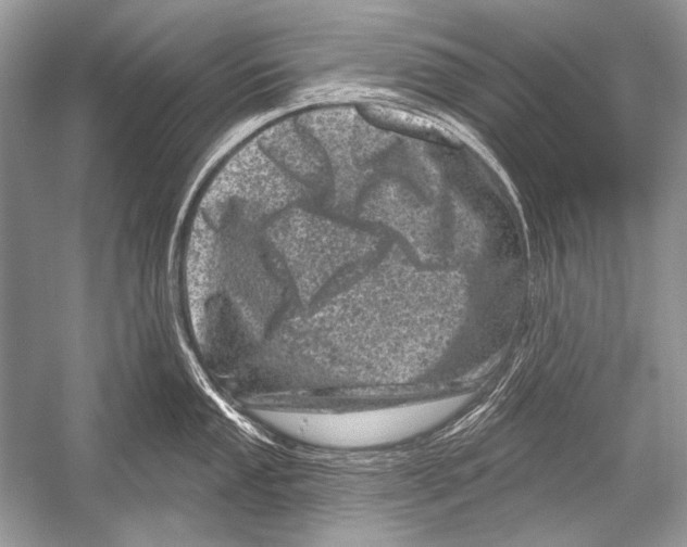 X0000051861053200507221852