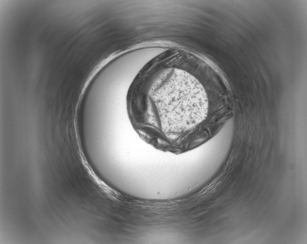 X0000051861054200507221852