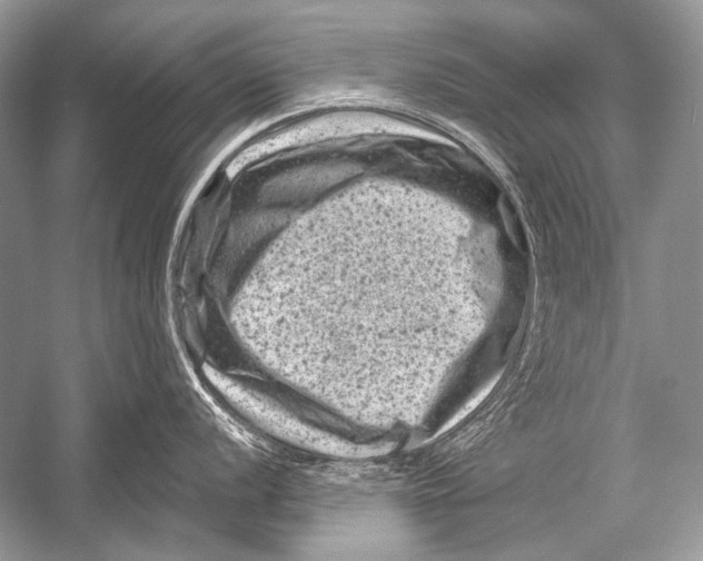 X0000051861056200507221852