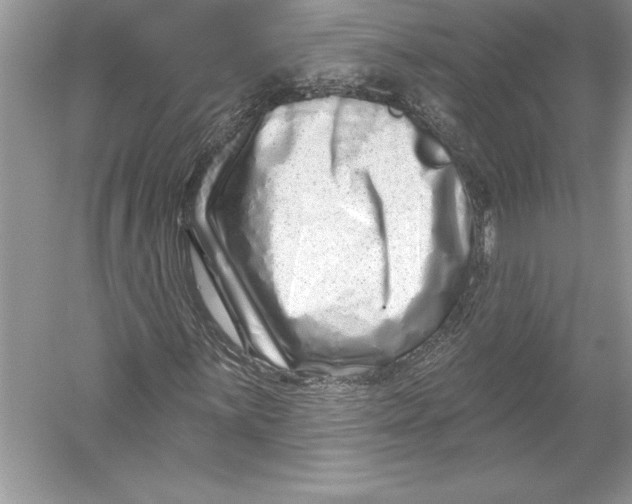 X0000051861059200507221851