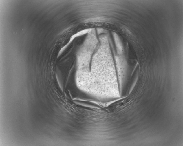 X0000051861062200507221851