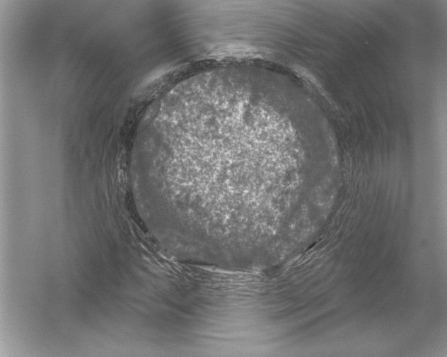 X0000051861063200507221851