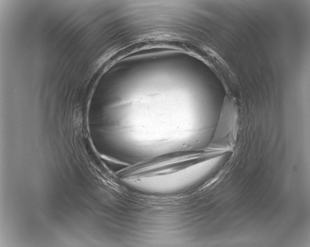 X0000051861065200507221851