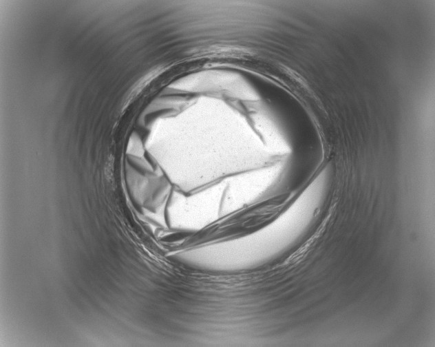 X0000051861066200507221851