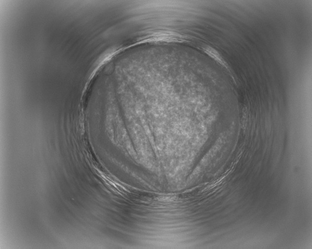 X0000051861067200507221851