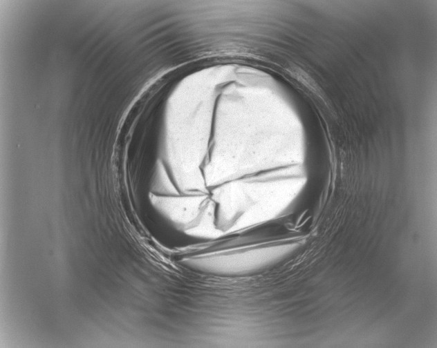 X0000051861068200507221851