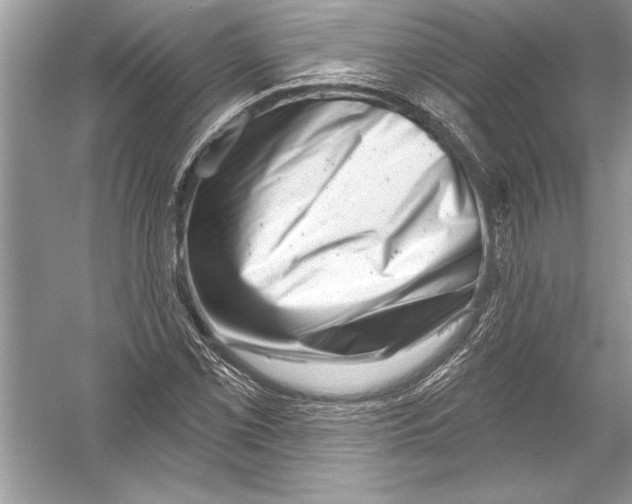 X0000051861069200507221851