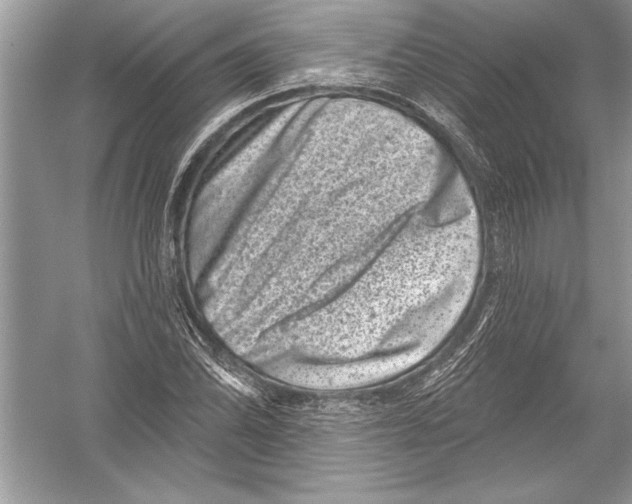 X0000051861070200507221851