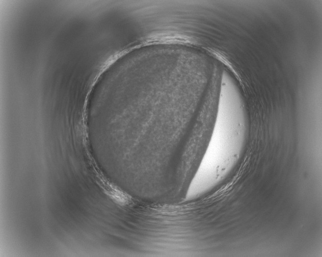 X0000051861071200507221851