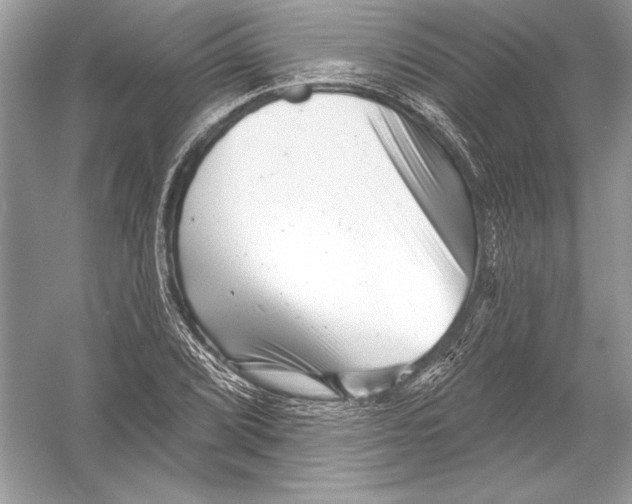 X0000051861072200507221851