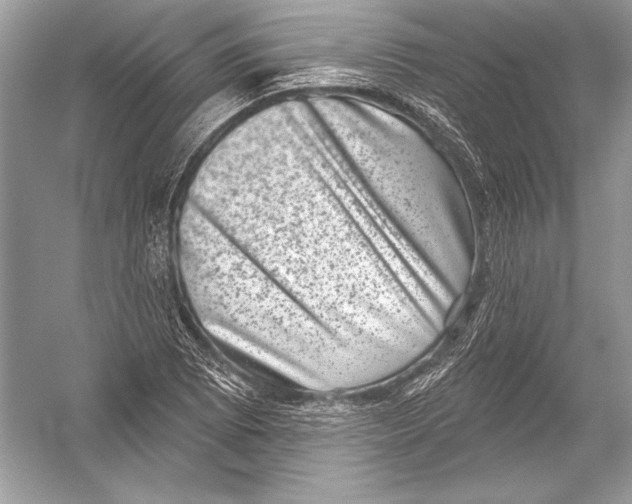 X0000051861073200507221851